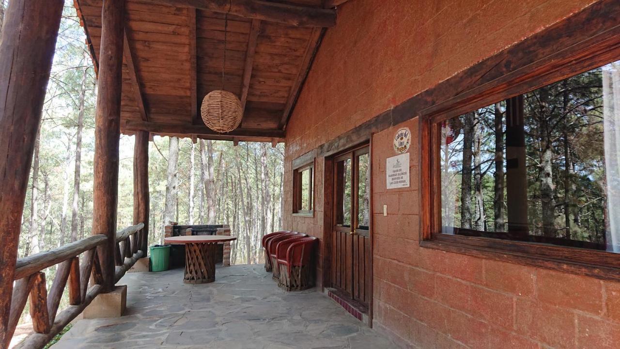 Cabanas Tapalpa Sierra Del Tecuan, Cabana Lince Exterior foto