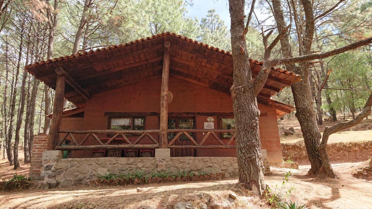 Cabanas Tapalpa Sierra Del Tecuan, Cabana Lince Exterior foto